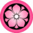 Pink Kikyo Icon